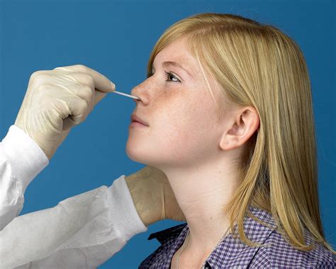 what test swabs the soft palate|nasopharyngeal swabs study.